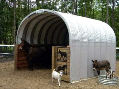 steel quonset hut open ended animal run in with donkeys and goats