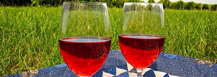 two glasses of red wine on picnic blanket in grass