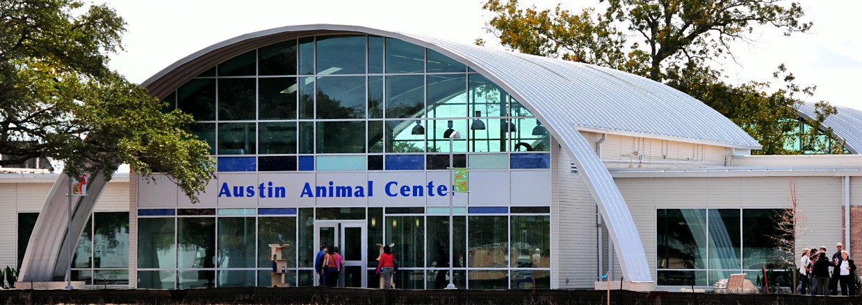 custom commercial building arch steel roof at austin animal center