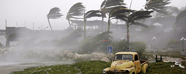 wind blowing palm trees and old yellow truck