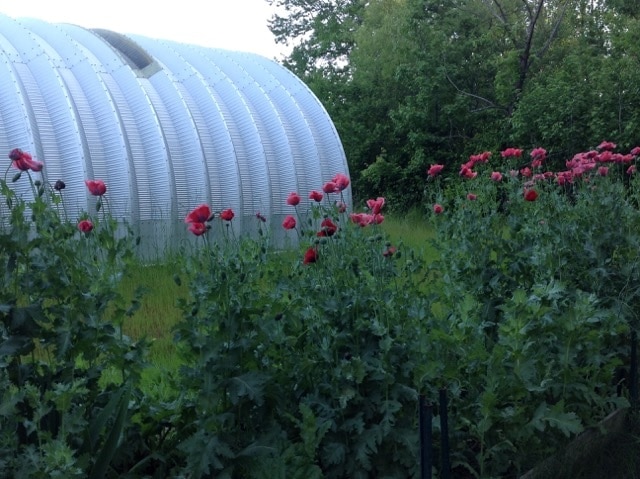 Quonset Hut Structure in North Carolina