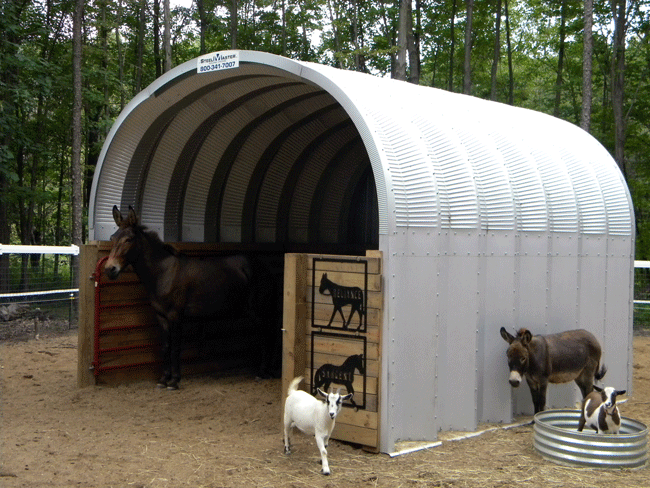 steel S model storage shed with steel open endwalls used for mule and goat shelter