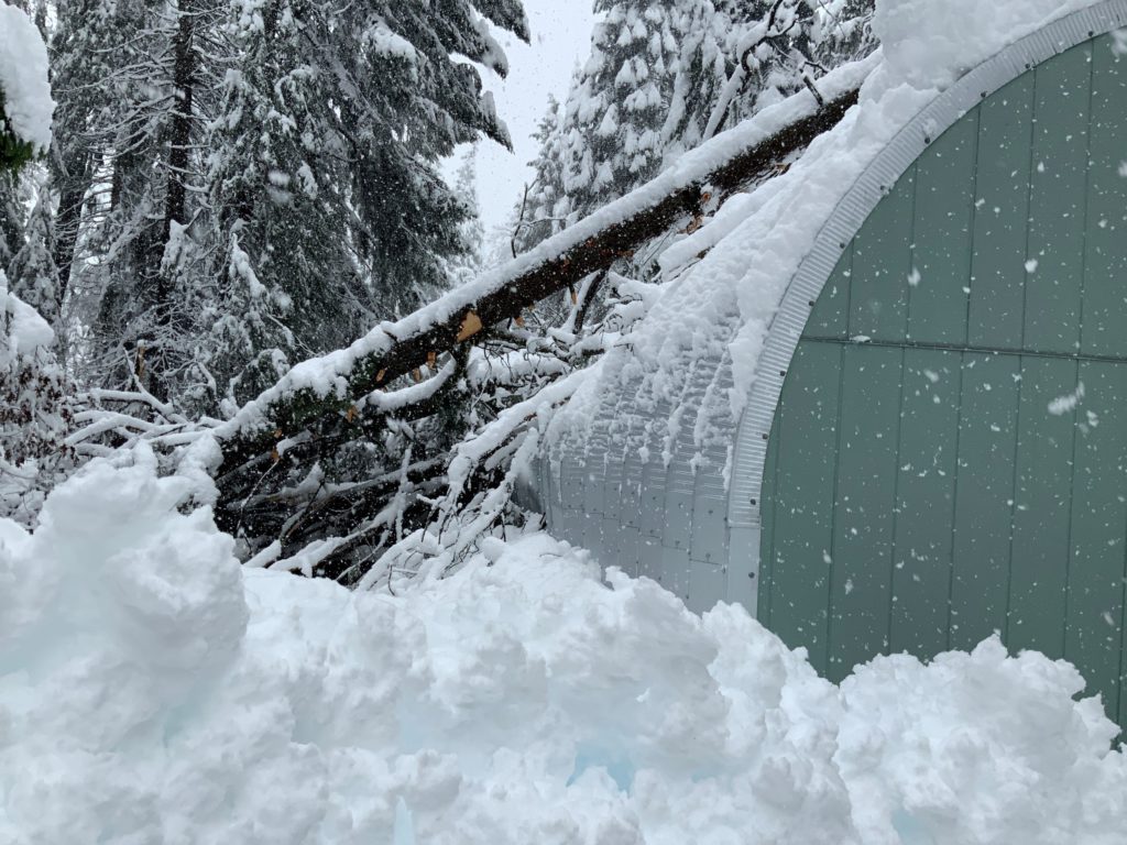 Partial view of Quonset hut with custom sage green endwall in a snowy landscape, structure surrounded/covered in heavy snow and fallen trees.