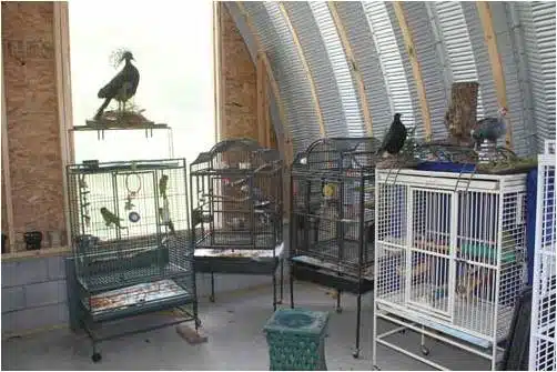 Bird cage inside Quonset hut