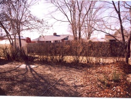 Detached Garage Backyard Ideas (Before)