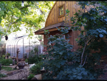 Detached Garage Behind House